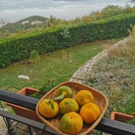 Lux Provence Вилла Будва