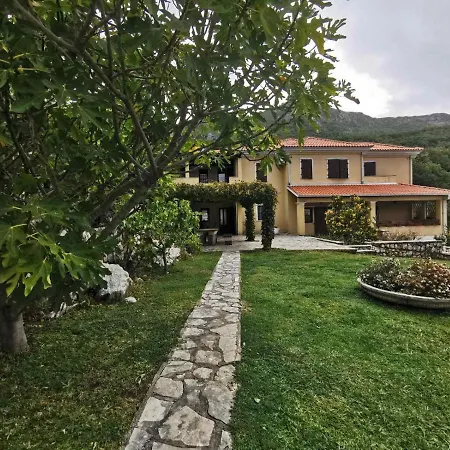 Lux Provence Будва