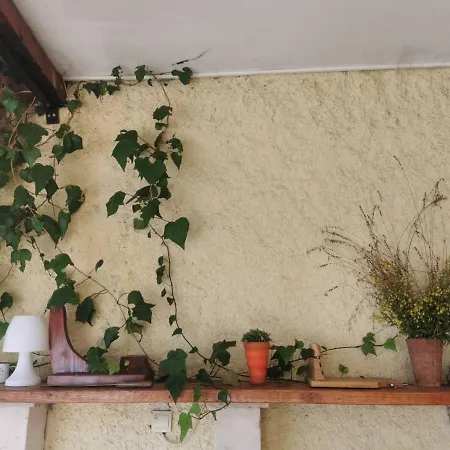 Lux Provence Будва